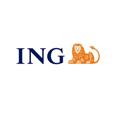 ing_seguros.png